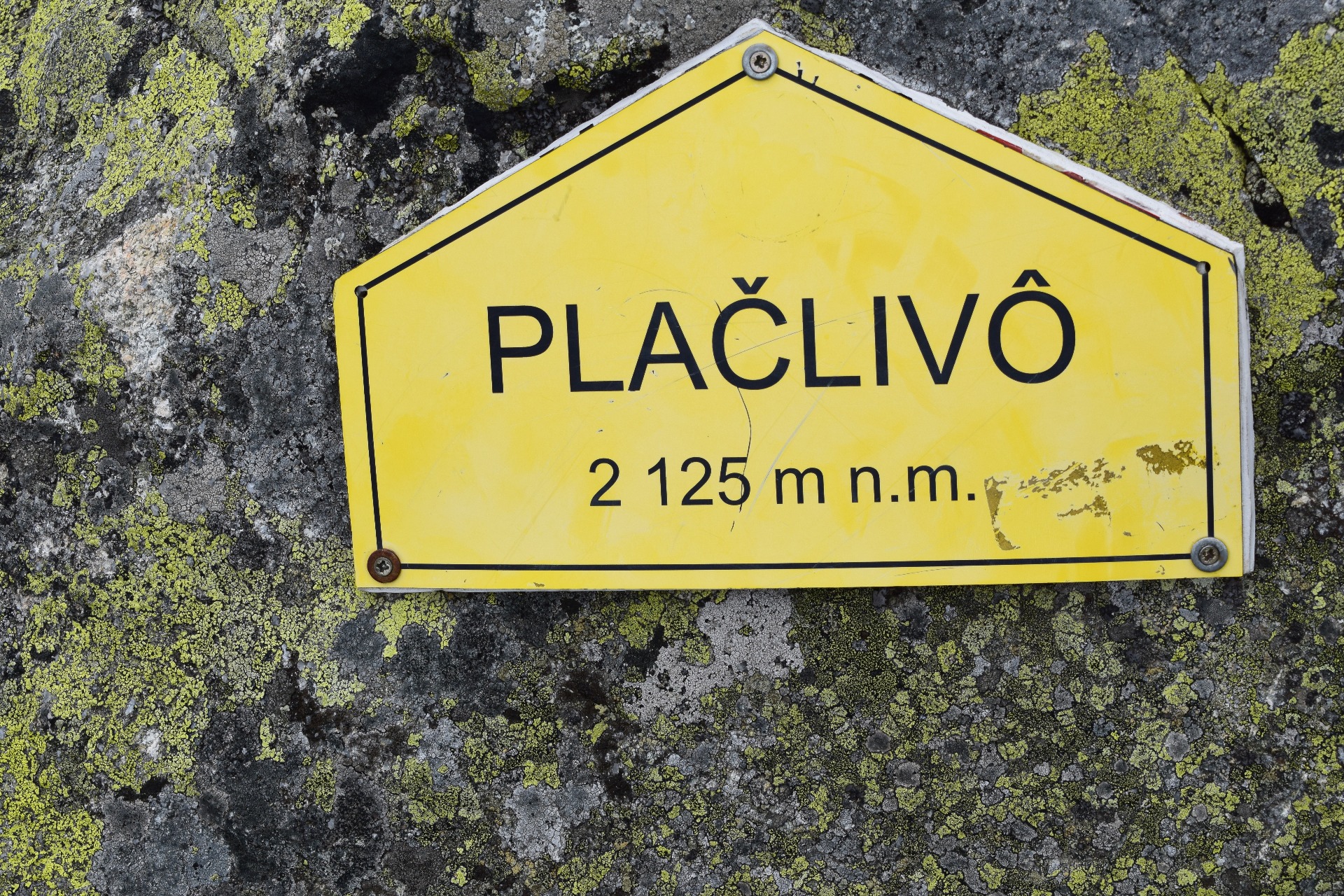 Plačlivé